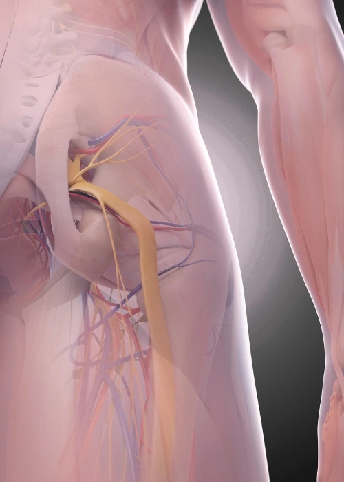 nervios y ligamentos dr. francisco figueroa Traumatología en Hermosillo